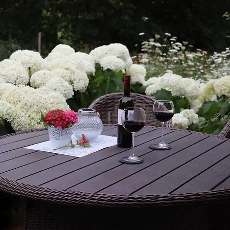 Weinbergsliebe 公寓 *