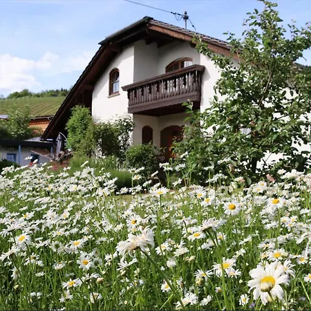 公寓 Weinbergsliebe Rummelsheim