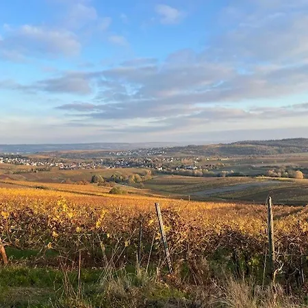 公寓 Weinbergsliebe