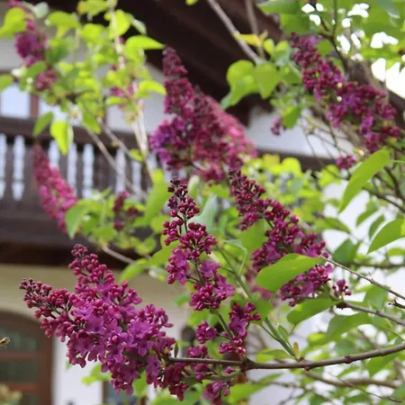 Weinbergsliebe Rummelsheim