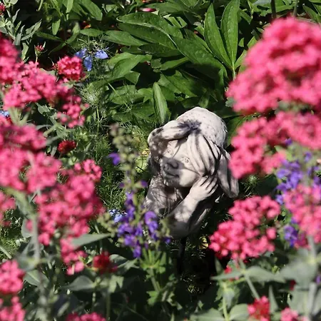 公寓 Weinbergsliebe *