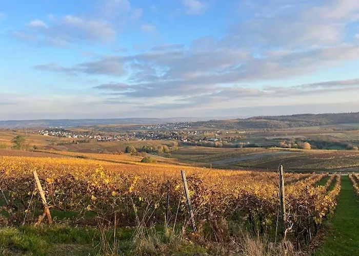 Apartamento Weinbergsliebe
