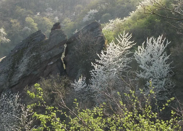 Apartamento Weinbergsliebe *