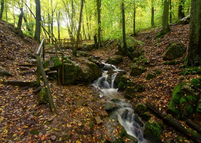 Weinbergsliebe Rummelsheim