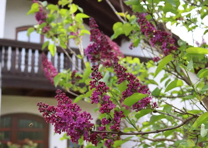 Weinbergsliebe Rummelsheim